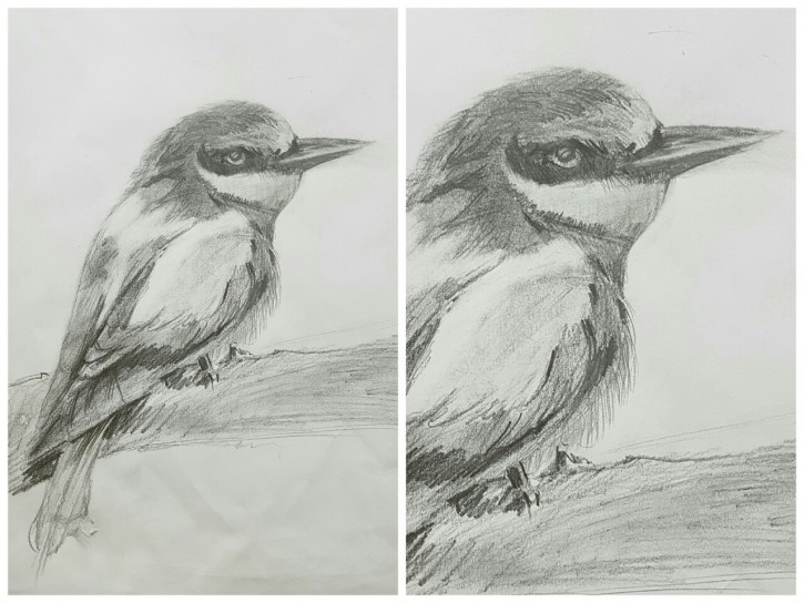 d911ac5660c3980dfa48ccb0601cd160_1558615