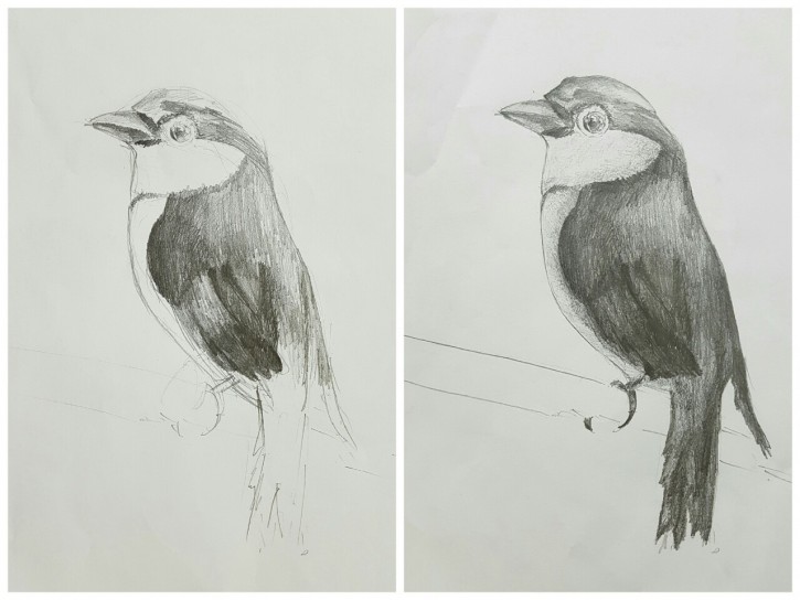 d911ac5660c3980dfa48ccb0601cd160_1558615