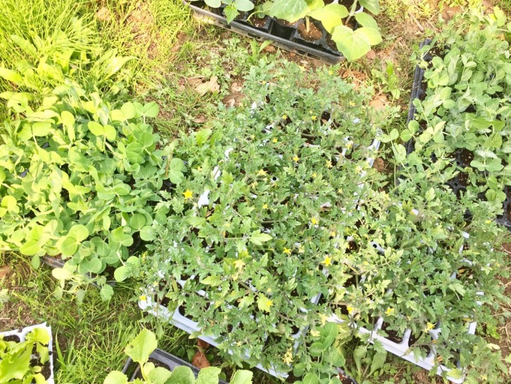 e31b1d8fcf5e5046067fefdb019bbcba_1558530