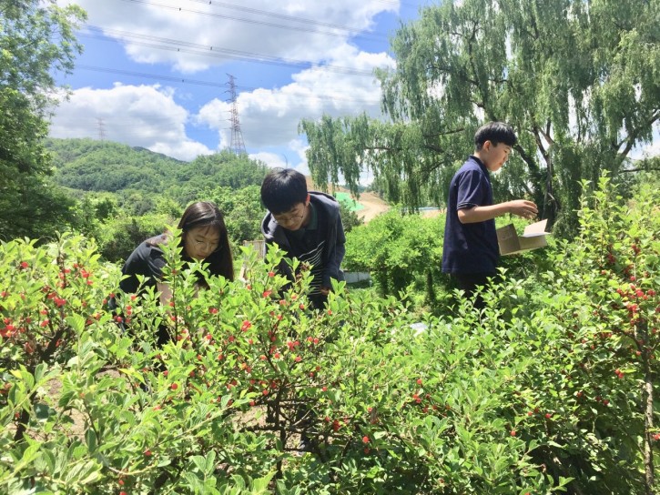 000e687b5744b078f4f49a67a9a9989f_1561382