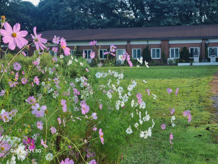 1066119335fdd976a7edc77bcd0021d6_1760408