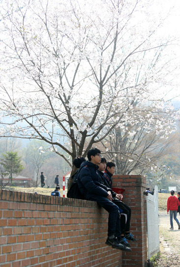 38882c5c8e32aeb06c65b1c1eb2c04405695e56c