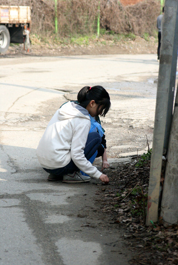 47b0050eafe5387dfede56cd7e65af215695e565