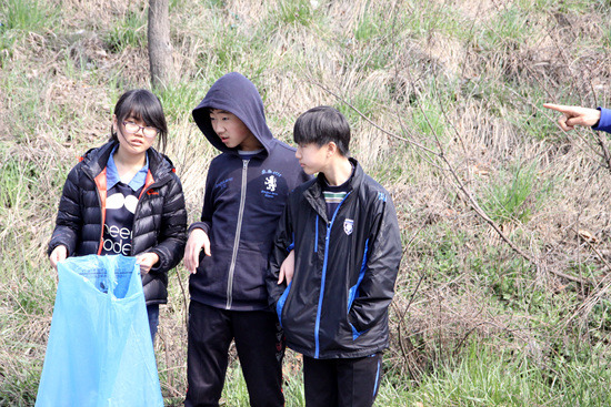 62bf44ffc8c5e610c4e6ee323e0e1d515695e57a