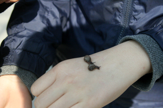 7b97bb893a3baf3812d4713e185838fe5695e56a